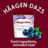 Haagen-Dazs Blueberries  Cream