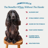 James  Ella Kibble  Freeze Dried Raw Beef Dog Food