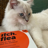 Itch Flea  Tick Spot On Treatment For Cats