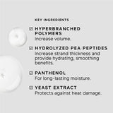 Philip Kingsley Density Thickening Protein Spray