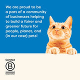 Applaws Cat Pouch Fish Selection in Jelly