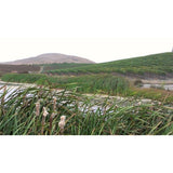 Bread  Butter Cabernet Sauvignon