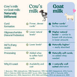 Disaronno Originale Italian Amaretto Liqueur