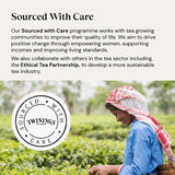 Twinings Superblends Digest with Spearmint Apple  Rooibos