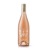 Lady A Provence Rose