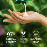 Herbal Essences Aloe Soothe Shampoo