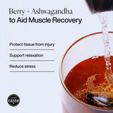 MISSION Recover Rooibos Tea Bags with Berry  Ashwagandha