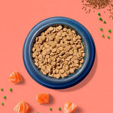 Tailscom Inner Vitality Sensitive Grain Free Mature Dog Dry Food Salmon