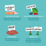 Edgard  Cooper Senior Grain Free Dry Dog Food Free-Run Chicken  Salmon