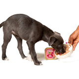 Edgard  Cooper Puppy Grain Free Wet Dog Food with Duck  Chicken