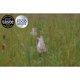 Packington Free Range White Free Range Eggs