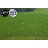 Packington Free Range White Free Range Eggs