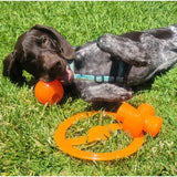 Bionic Bone Medium 12cm