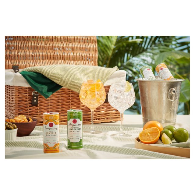 Tanqueray Flor De Sevilla Gin & Tonic Ready to Drink Can   250ml GOODS M&S   