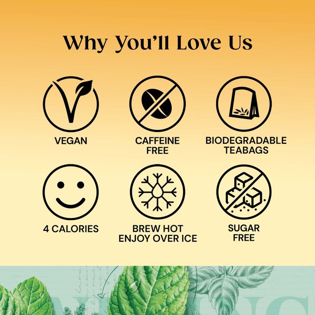 Twinings Organic Peppermint Tea   20 per pack GOODS M&S   