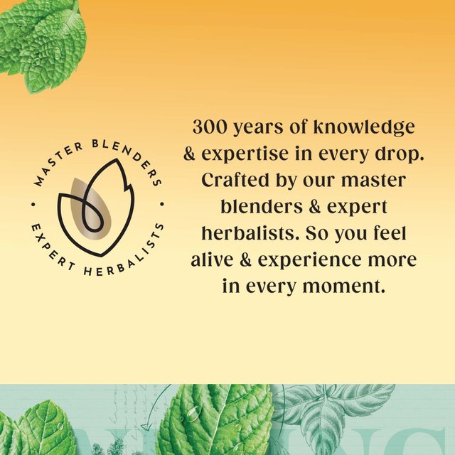 Twinings Organic Peppermint Tea   20 per pack GOODS M&S   