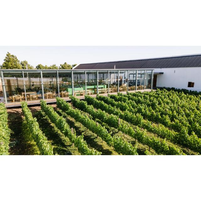 Babylonstoren Babel Red Blend   75cl - McGrocer