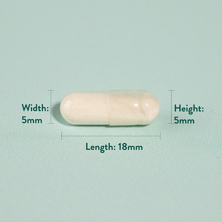 Holland & Barrett Potent Acidophilus (10 Billion) - McGrocer