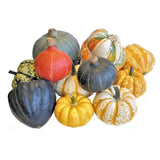 Sainsburys Mixed Squash Loose