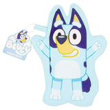 Bluey Wash Mitt