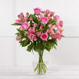 Sainsburys Rose  Alstroemeria