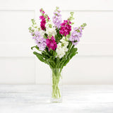 Sainsburys Simply Stocks Bouquet