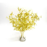 Sainsburys Christmas Foliage