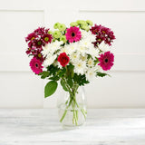 Sainsburys Spring Jewel Bouquet