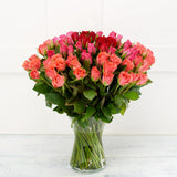 Ombre Sweetheart Roses x75