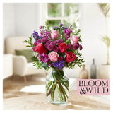 Bloom  Wild The Celebration Blooms