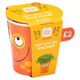 Sainsburys Little Ones Garden Sow  Grow Cress Animal