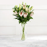 Sainsburys Pink Oriental Lilies Bouquet