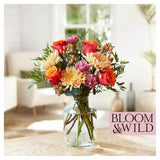 Bloom  Wild The Seasonal Blooms