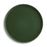 Habitat Matte Raw Edge Dinner Plate - Green