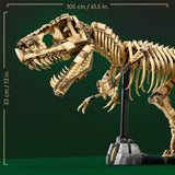 Dinosaur Fossils: Tyrannosaurus rex