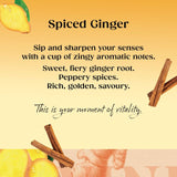 Twinings Spiced Ginger Tea   20 per pack GOODS M&S   