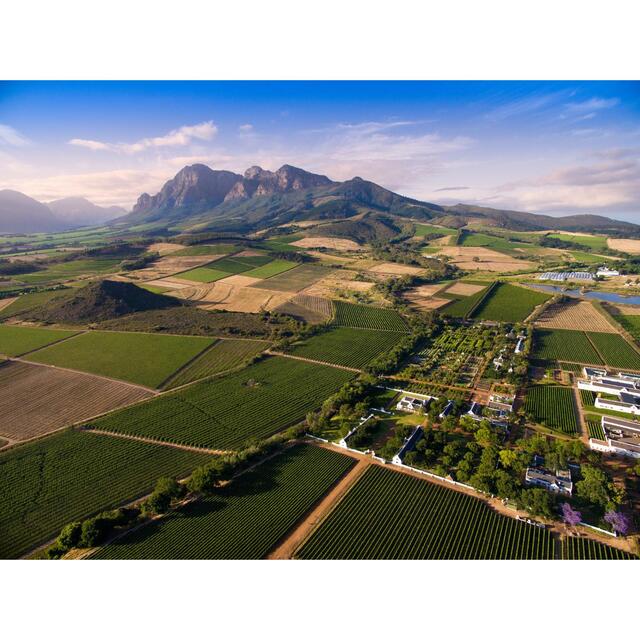 Babylonstoren Babel Red Blend   75cl - McGrocer