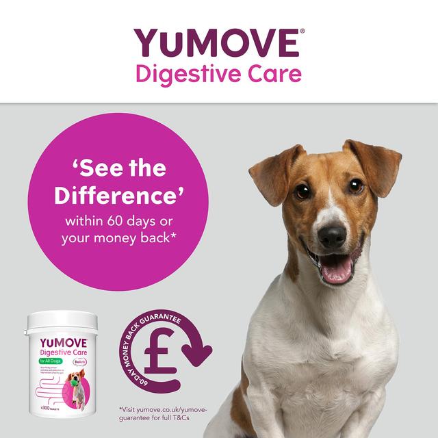YuMOVE Dog Digestive Health Probiotics Supplement   300 per pack GOODS M&S   
