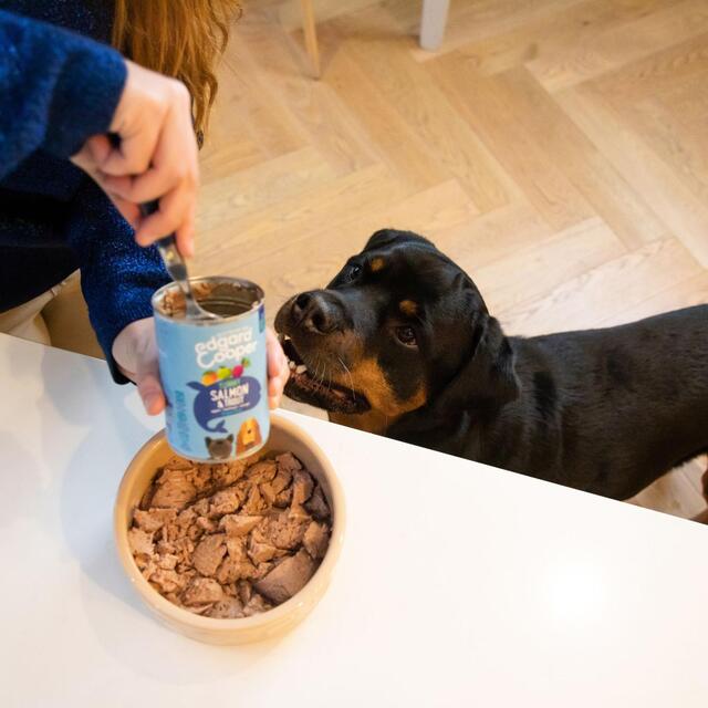 Edgard & Cooper Adult Grain Free Wet Dog Food with Beef   400g - McGrocer