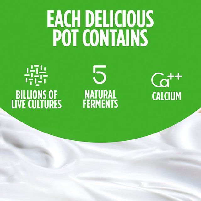 Activia Rhubarb Fruit Yoghurt   4 x 115g - McGrocer