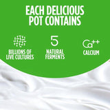 Activia Rhubarb Fruit Yoghurt   4 x 115g - McGrocer