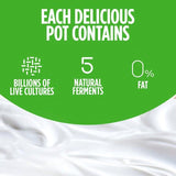 Activia Strawberry Raspberry Cherry & Blueberry No Added Sugar Fat Free    8 x 115g - McGrocer