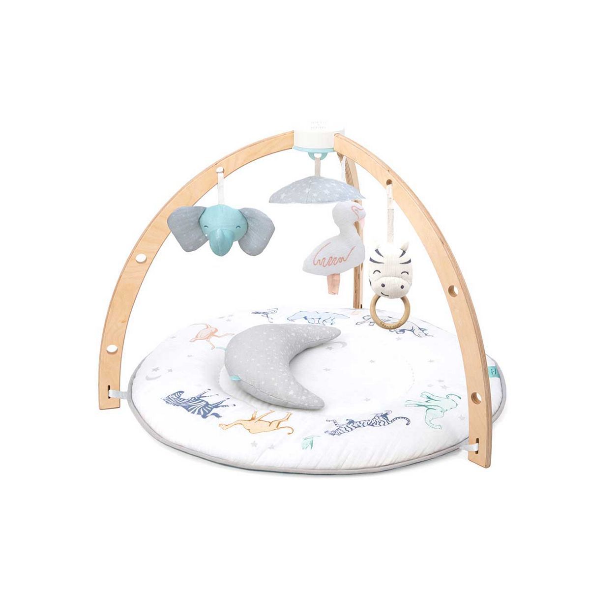 aden + anais™ Play + Discover Activity Gym - McGrocer