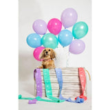 Adios Compostable Dog Poo Bags - Rainbow    60 per pack - McGrocer