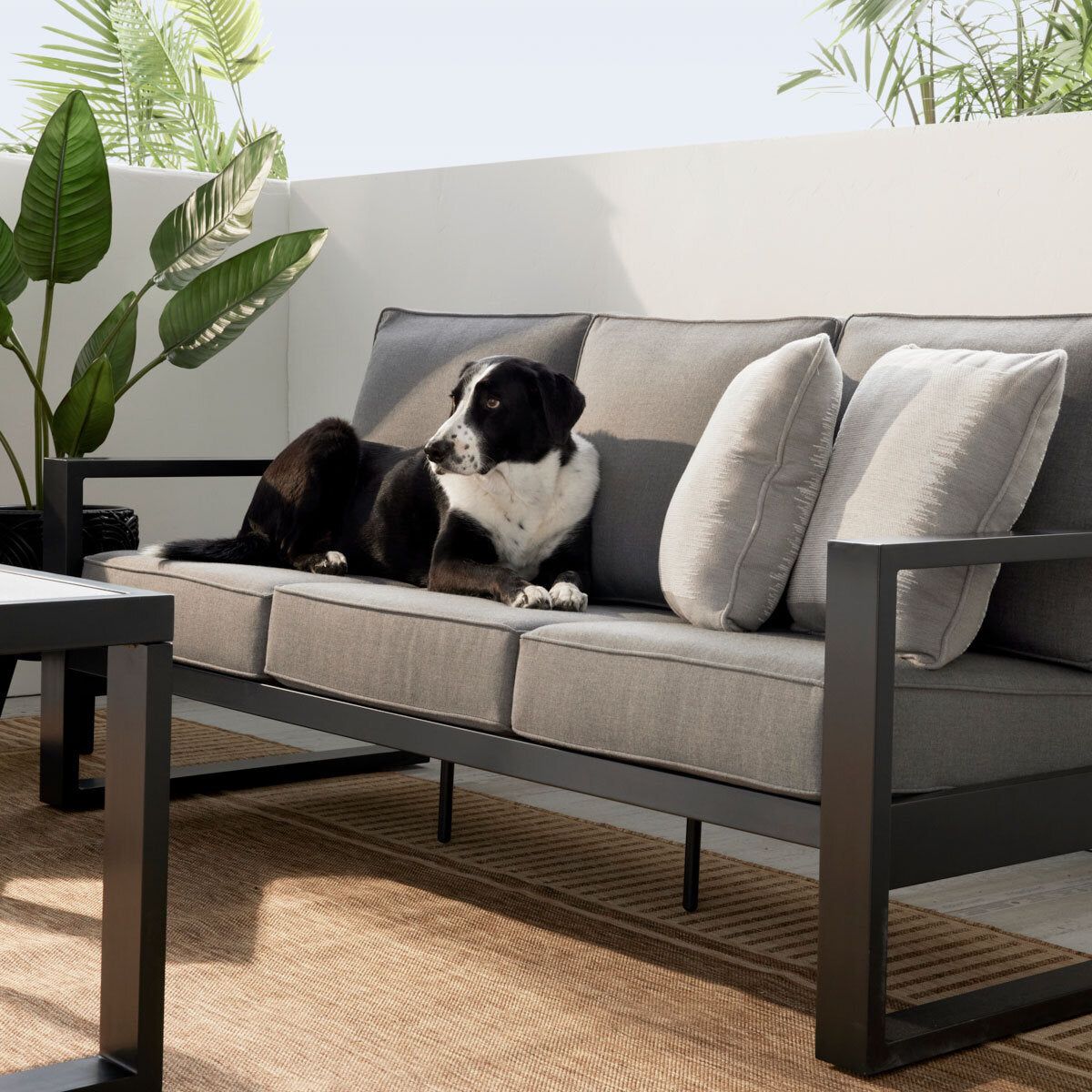 Agio Turin 4 Piece Deep Seating Patio Set - McGrocer