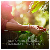 Airwick Botanica Candle Island Rose & African Geranium   205g - McGrocer