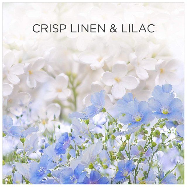 Airwick Crisp Linen & Lilac Plug In Gadget & Refill   19ml - McGrocer