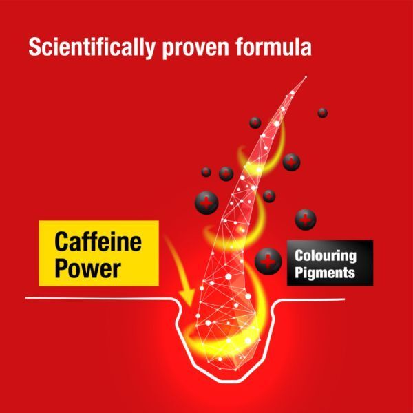 Alpecin Tuning Shampoo 2x 200ml | Preserves Natural Colour - McGrocer