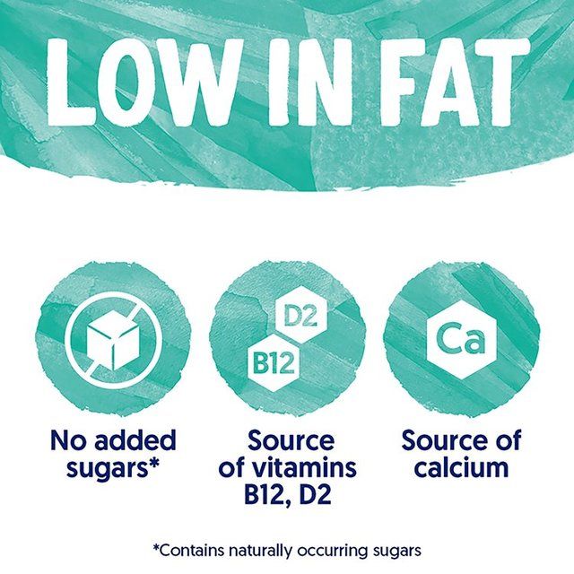 Alpro Coconut Long Life Drink   1L - McGrocer