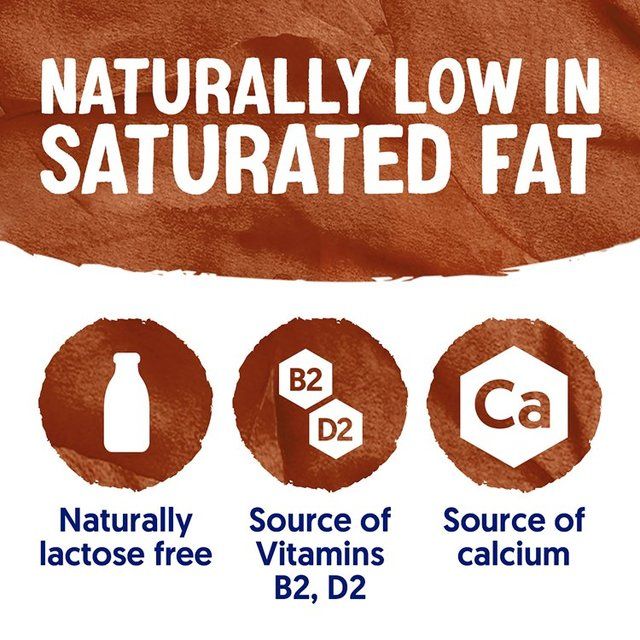 Alpro Soya Chocolate Long Life Drink   1L - McGrocer